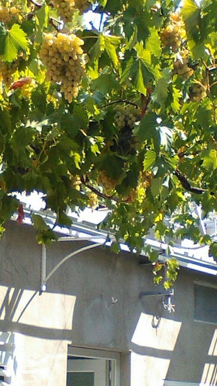 Central Sibenik Apartments מראה חיצוני תמונה